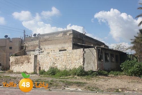 kaniswa7akhadra2 (7).JPG